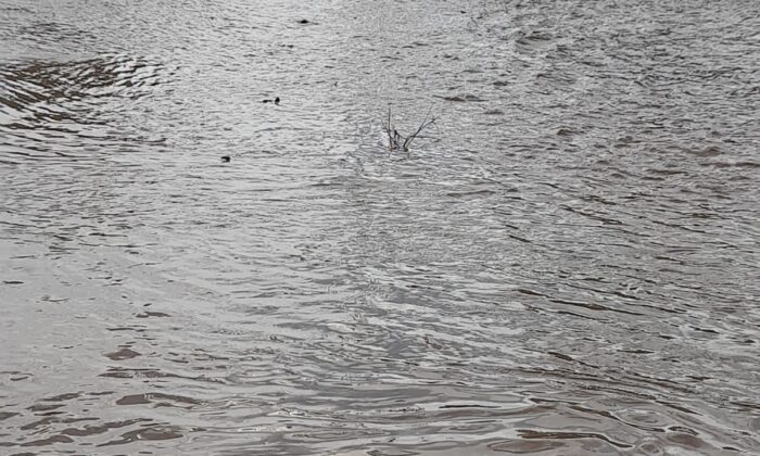 Seyitgazi’de sel felaketi