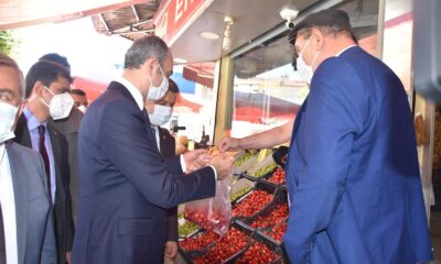 Sezonun ilk kirazları Bakan Gül’e ikram edildi