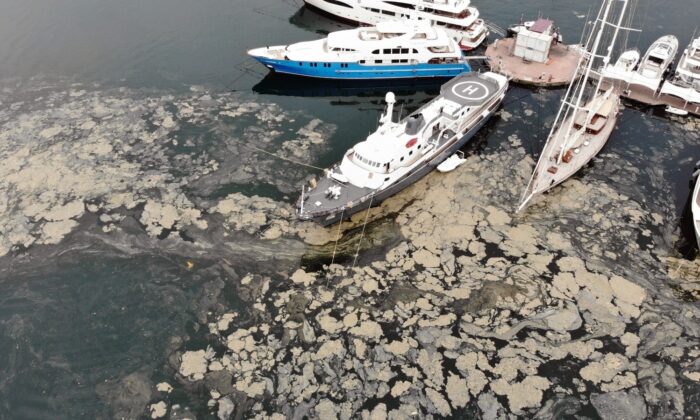 Sıcaklar ile müsilaj tehlikesi büyüyecek