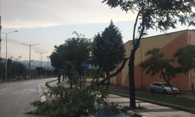 Şiddetli fırtına ve yağışın olumsuzluklarına anında müdahale