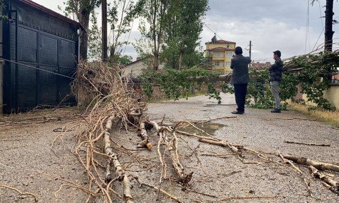 Şiddetli rüzgar ağacı devirdi, elektrik ve iletişim hatlarını kopardı