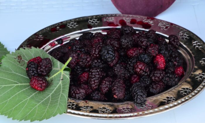 Şifa kaynağı Horum dutu pekmezi gramla satılıyor