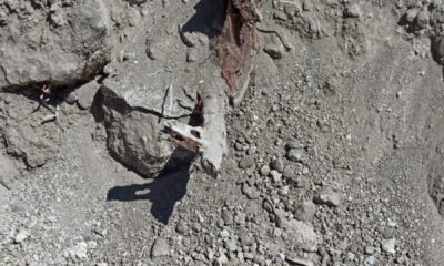 Siirt’te belediye ekiplerince enkaz çalışması sırasında silah ve mühimmat bulundu