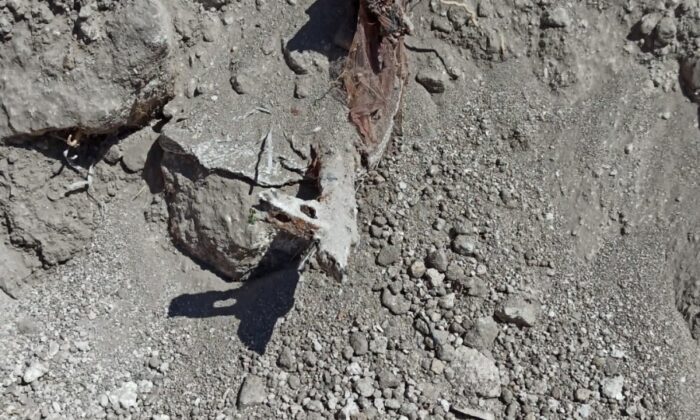 Siirt’te belediye ekiplerince enkaz çalışması sırasında silah ve mühimmat bulundu