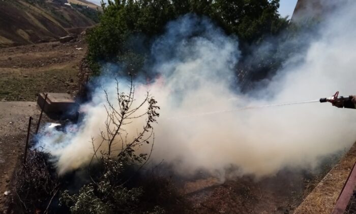 Siirt’te odunlukta çıkan korkuttu