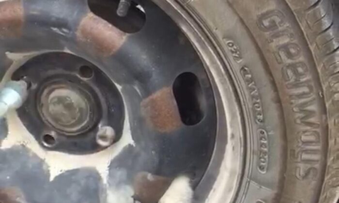 Sıkışan yavru kedi, tekerlek sökülerek kurtarıldı