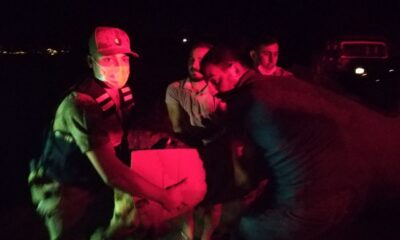 Silahla vurulan köpeğe jandarma sahip çıktı