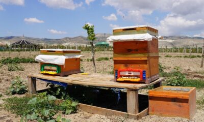 Sincan’da sıfır atık çalışmaları her geçen gün yoğunlaşıyor