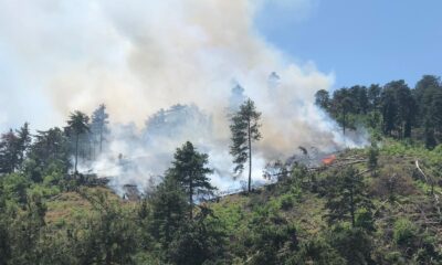 Sındırgı’da orman yangınına hızlı müdahale
