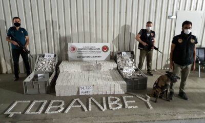 Sınır kapısında 14 bin 720 paket kaçak sigara ele geçirildi