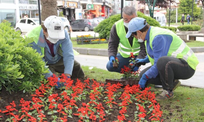 Sinop 40 bin çiçekle güzelleşiyor