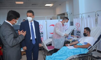 Sinop Valisi: “Kana çok ihtiyacımız var”