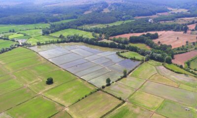 Sinop’taki sulu tarımın ekonomiye katkısı 71,5 milyon lira