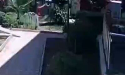 Site bahçesinde bulunan kediyi defalarca havaya atarak yere düşürdü