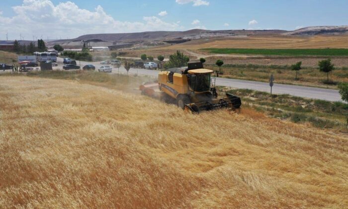 Sivas işlenen tarım alanında 4’üncü sırada