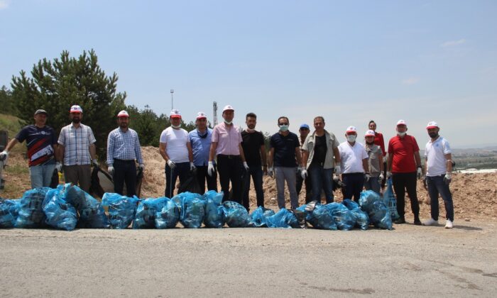 Sivas ormanına Rizeli eli değdi