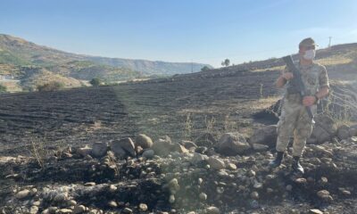 Siverek’te orman yangını