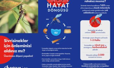 Sivrisineklere karşı 3K yöntemi