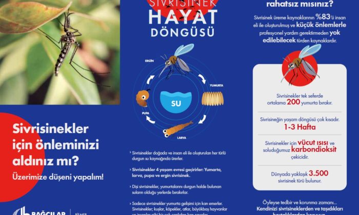 Sivrisineklere karşı 3K yöntemi