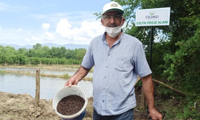 Siyah çeltik suyla buluştu