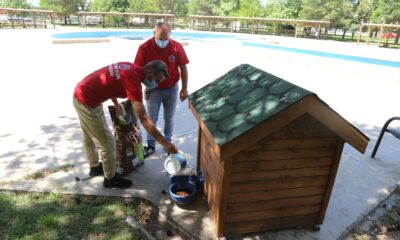 Sokak hayvanları için yem ve su bırakıldı