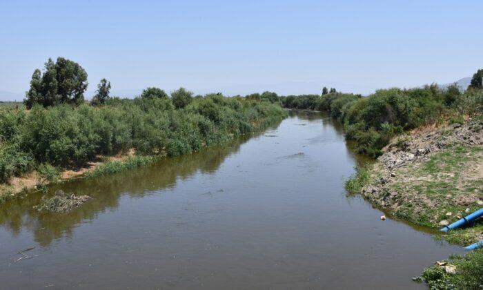 Söke Ovası’nın can damarı Büyük Menderes suya kavuştu