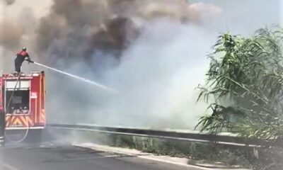 Söke’de karayolu kenarındaki yangın korkuttu