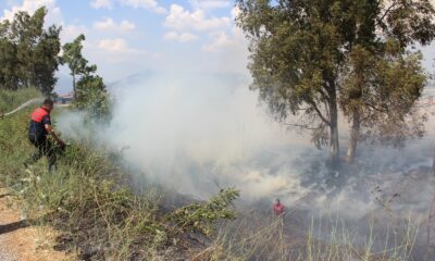 Söndürülmeden atılan izmarit, Aydın’ı duman altında bıraktı