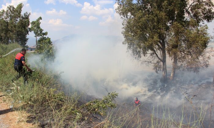 Söndürülmeden atılan izmarit, Aydın’ı duman altında bıraktı