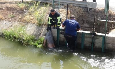 Sulama kanalında erkek cesedi bulundu