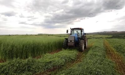 Süleymanpaşa Belediyesi kendi ürününü üretiyor