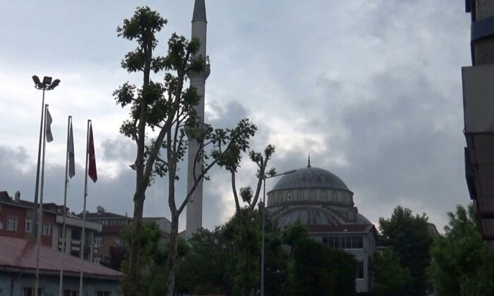 Sultangazi’de bir kişi ağaca asılı halde bulundu