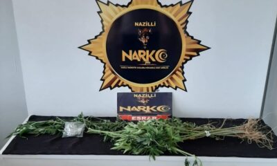 Sultanhisar’da 20 kök hint keneviri ele geçirildi