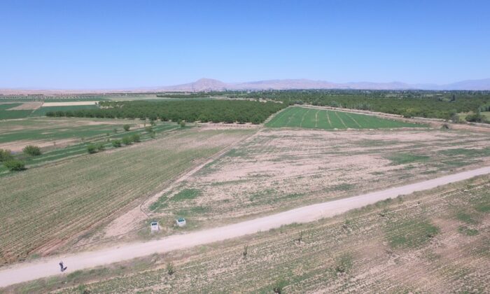 Sulu tarımla ekonomiye 1 milyar 497 milyon TL katkı sağlanacak