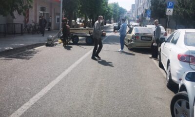 Sürücüsüz at kaza yaptı