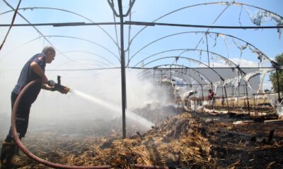 Süs bitkileri serasındaki yangın korkuttu