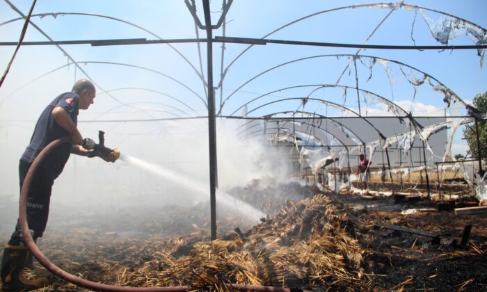 Süs bitkileri serasındaki yangın korkuttu