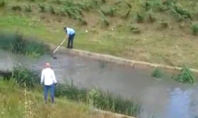 Suya düşen köpek son anda kurtarıldı