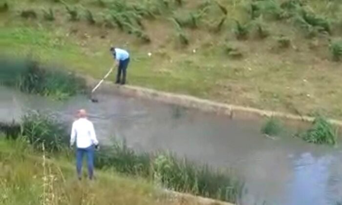 Suya düşen köpek son anda kurtarıldı