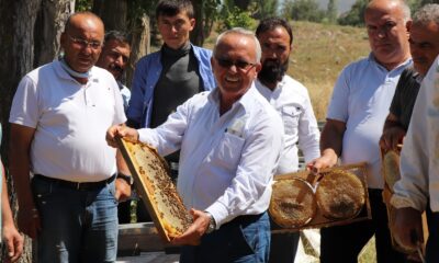 TAB Genel Başkanı Şahin: “Arıların sigortasını attırmayın”