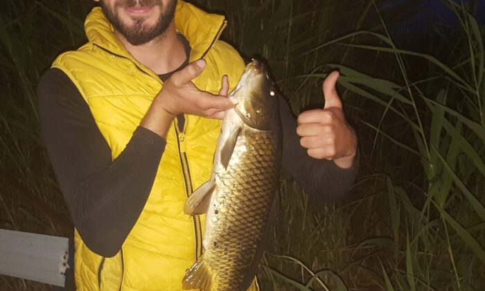 Tapulu tarım arazisinde 3 kilogramlık sazan avladı