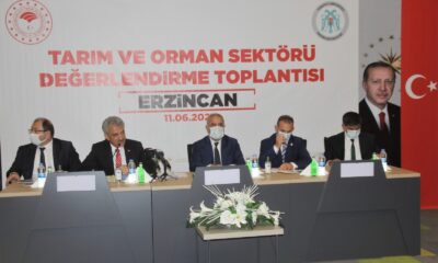 Tarım ve Orman Bakan Yardımcısı Tunç, Erzincan’da tarım sektörü temsilcileriyle buluştu