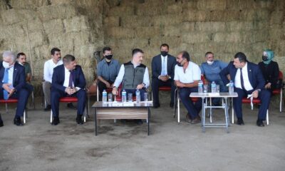 Tarım ve Orman Bakanı Pakdemirli’den yem fiyatlarına ilişkin açıklama