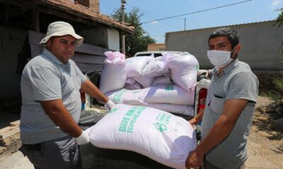 Tarlaları yanan  çiftçilere tohumluk buğdayları dağıtıldı