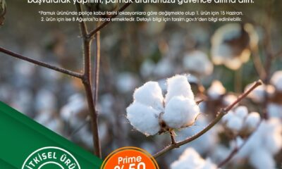 TARSİM: “Pamuk ürününüz güvende”