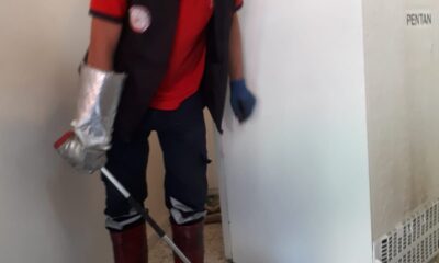 Tarsus’ta eve giren yılanı itfaiye ekipleri çıkarttı