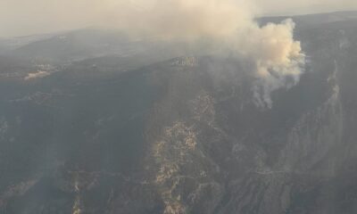 Tarsus’taki orman yangınında soğutma çalışması devam ediyor