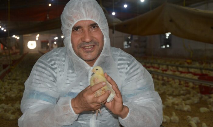 Tavuk yetiştiricilerinden beyaz et şirketlerine mesaj