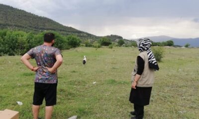 Tedavisi tamamlanan yaralı leylek doğaya bırakıldı