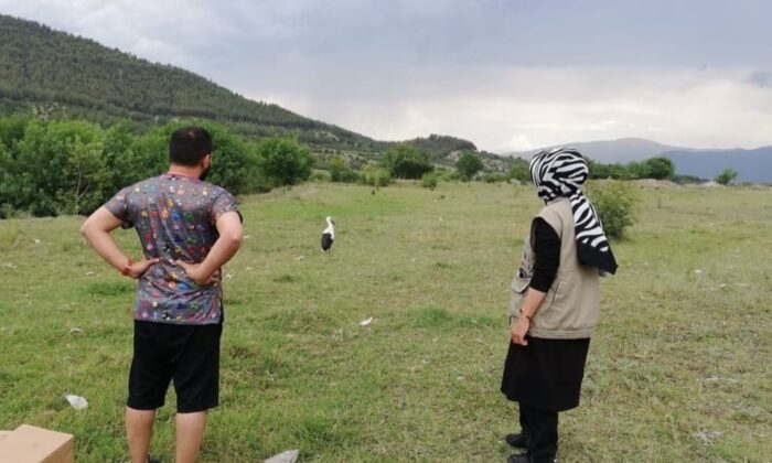 Tedavisi tamamlanan yaralı leylek doğaya bırakıldı